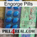 Engorge Pills new02